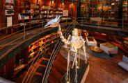 Activity Jao Museum