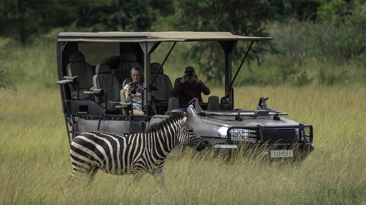 Wilderness Magashi Rwanda Game Drive