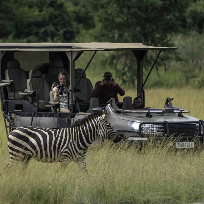 Wilderness Magashi Rwanda Game Drive