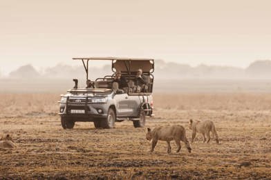 Wilderness game drive vehicle spots 3 lions at Busanga
