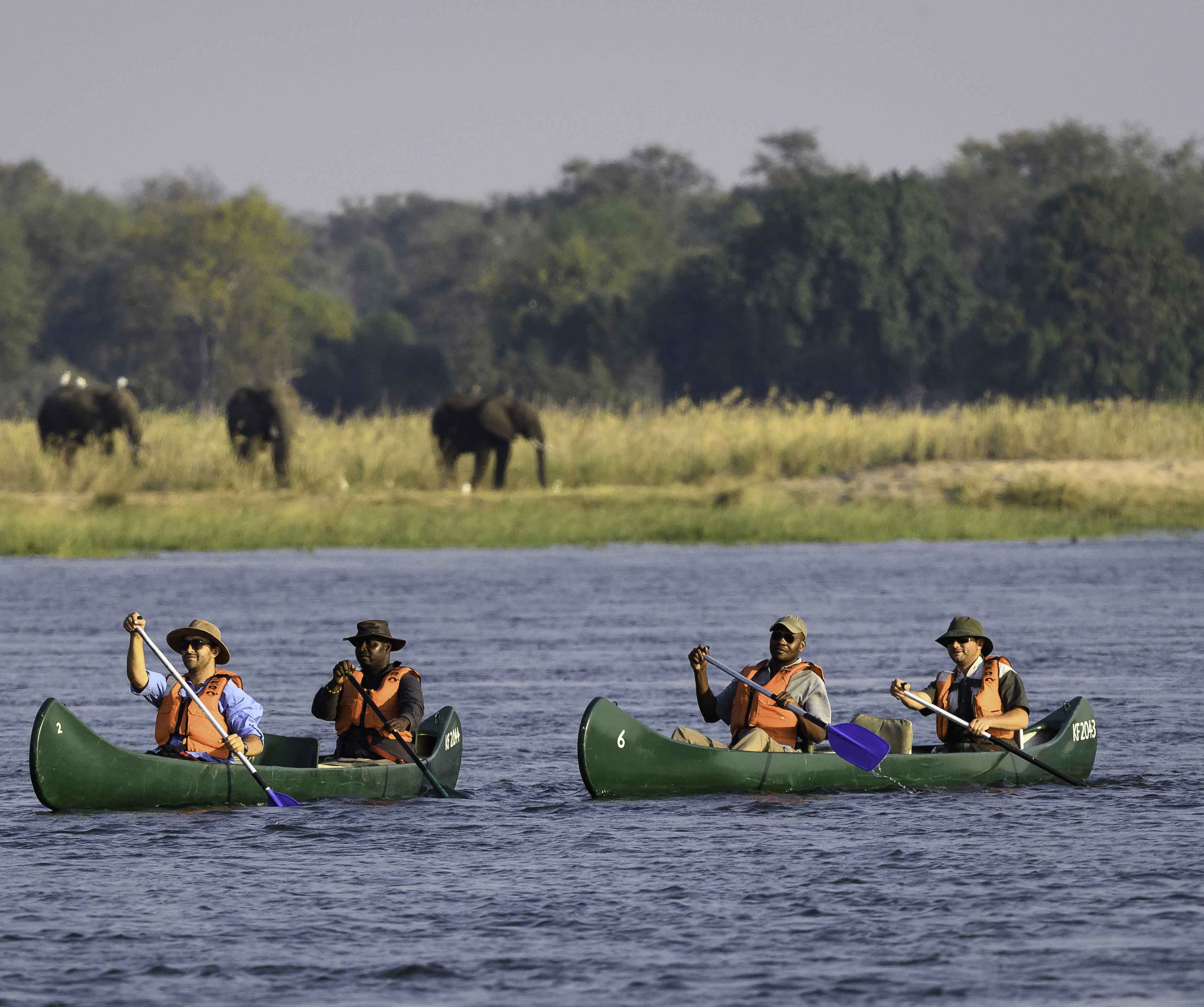 Wilderness Journeys Wild Zimbabwe