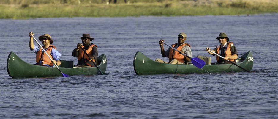 Wilderness Journeys Wild Zimbabwe