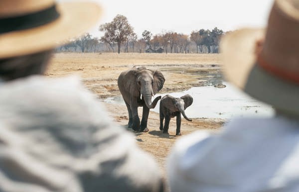 Wilderness Experiences Private Safari Game Drive