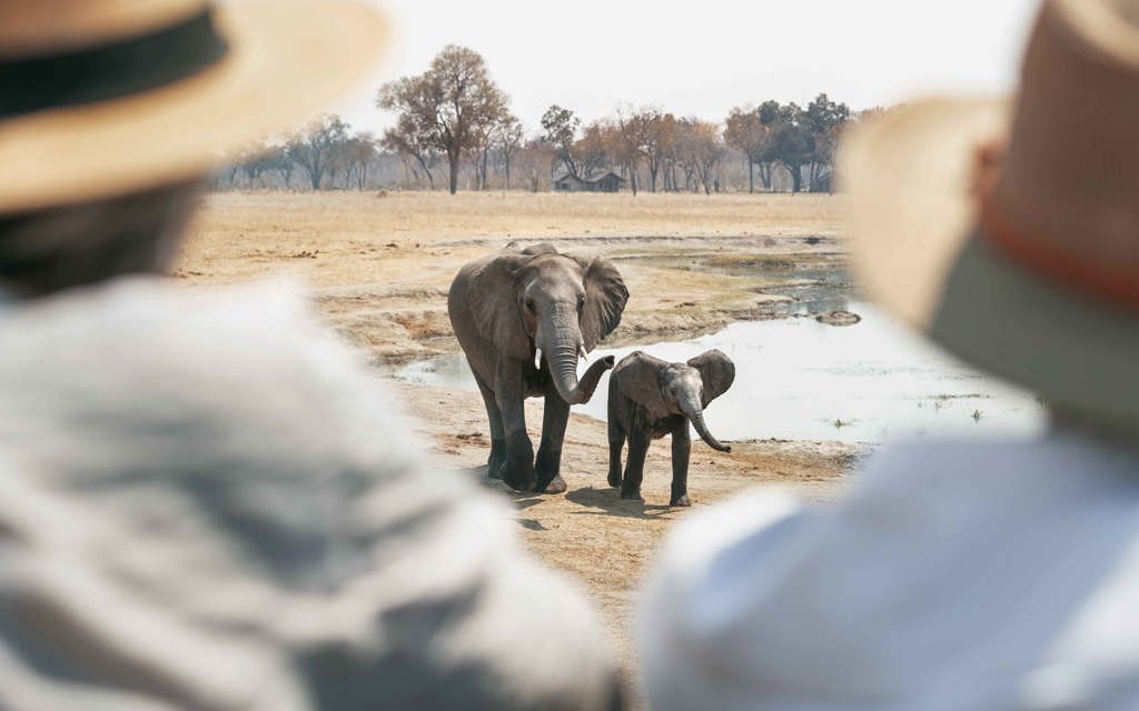 Wilderness Experiences Private Safari Game Drive