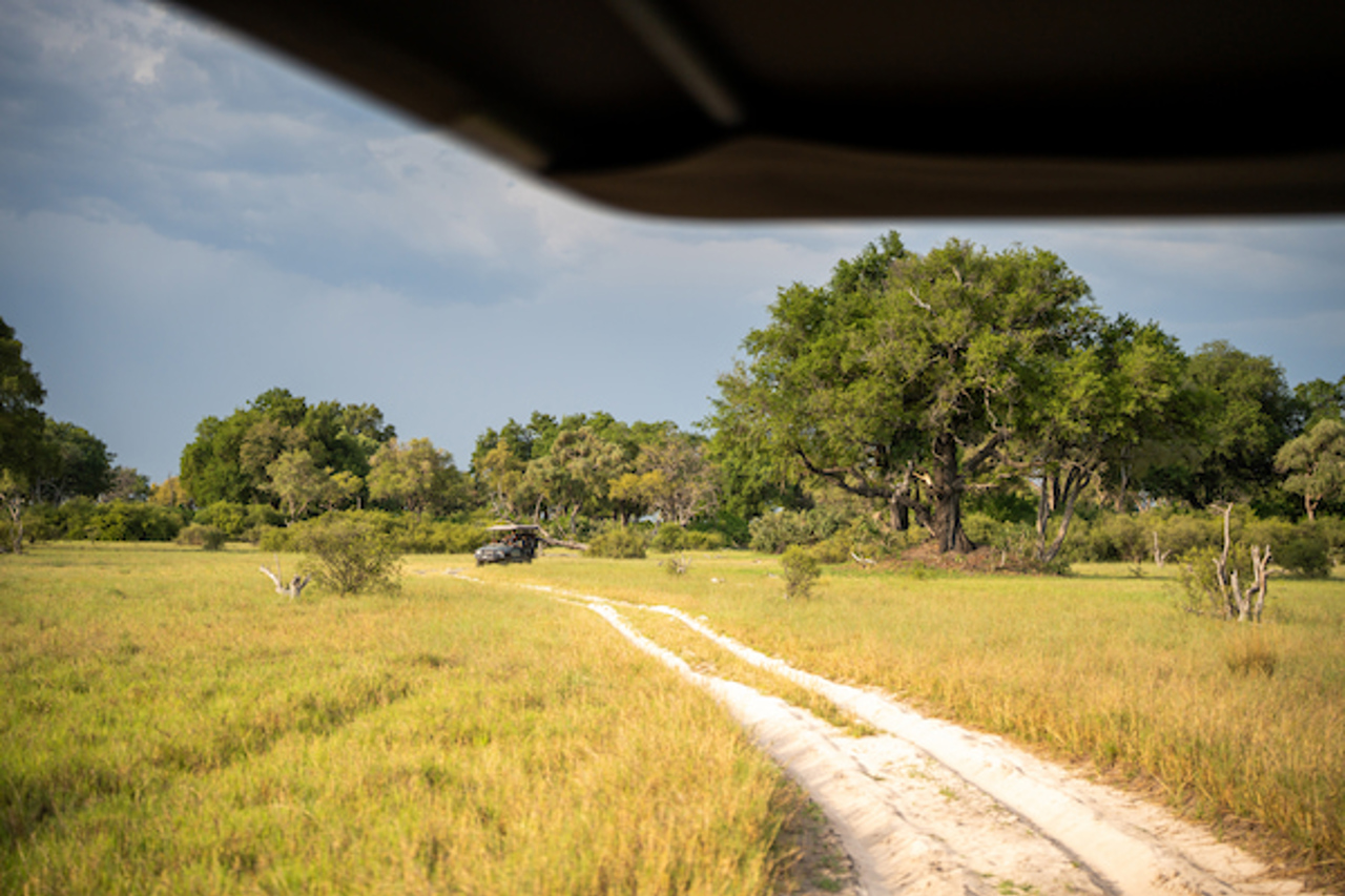 Vumbura game drive looking back towards camp