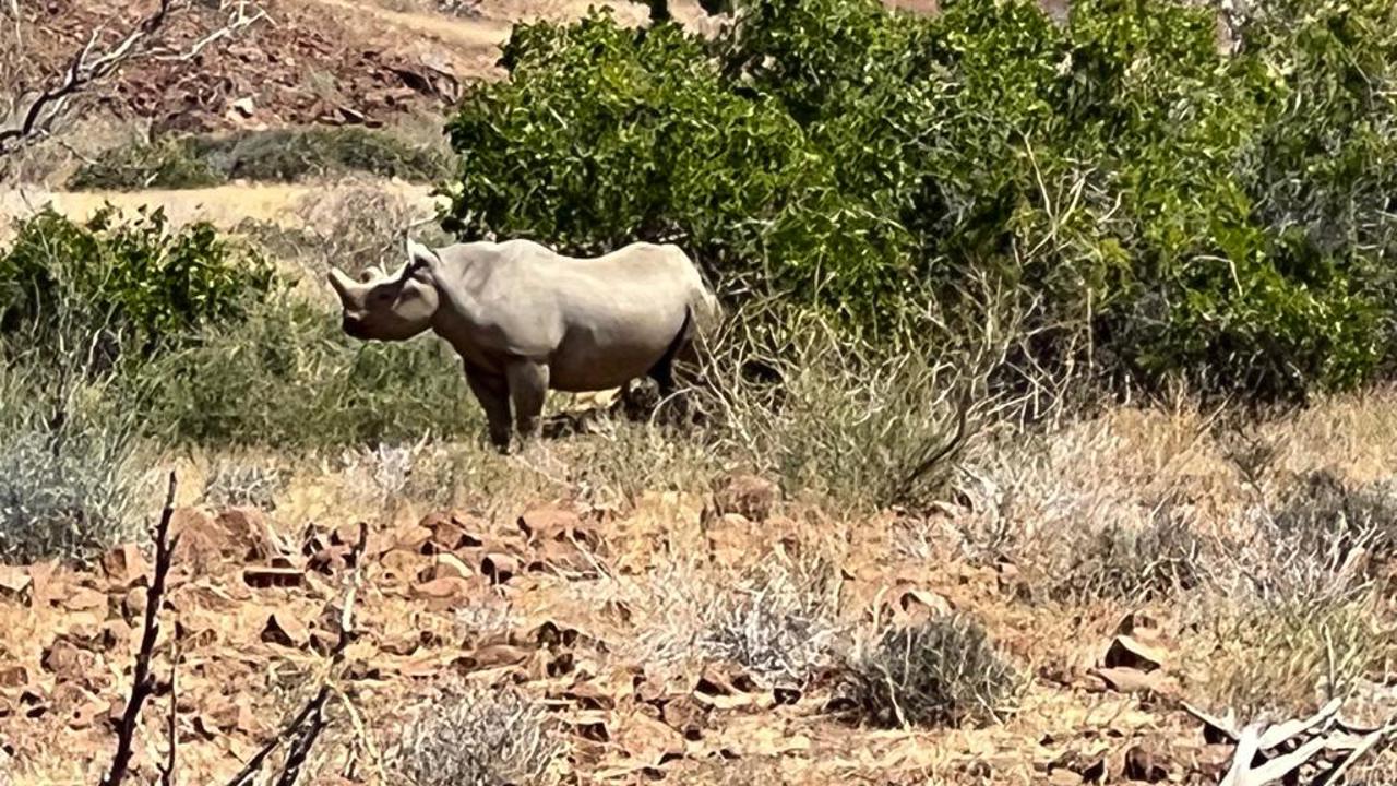 Wilderness Desert Rhino Camp Rhino Trekking