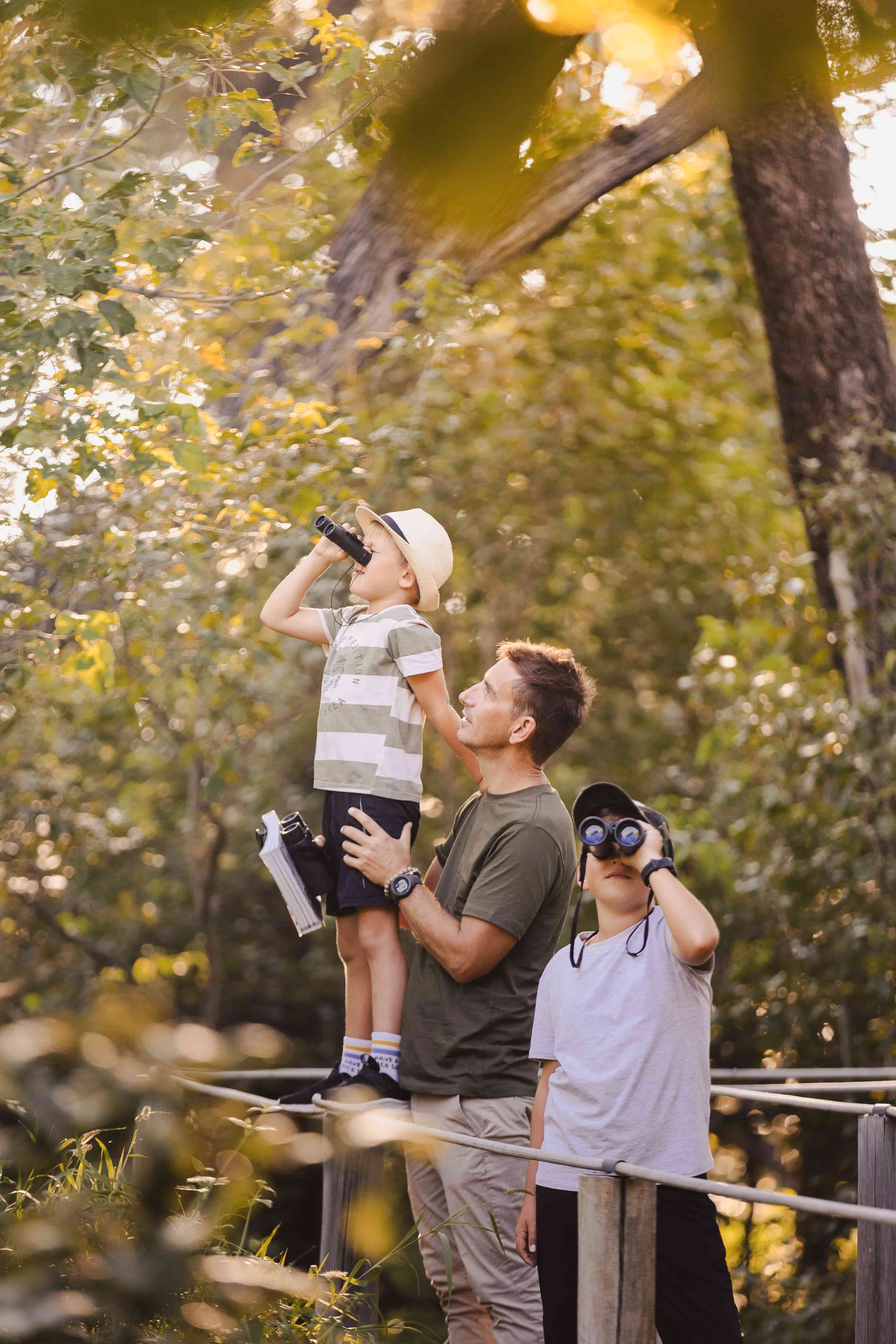 Wilderness Chitabe Lediba family looking for birds