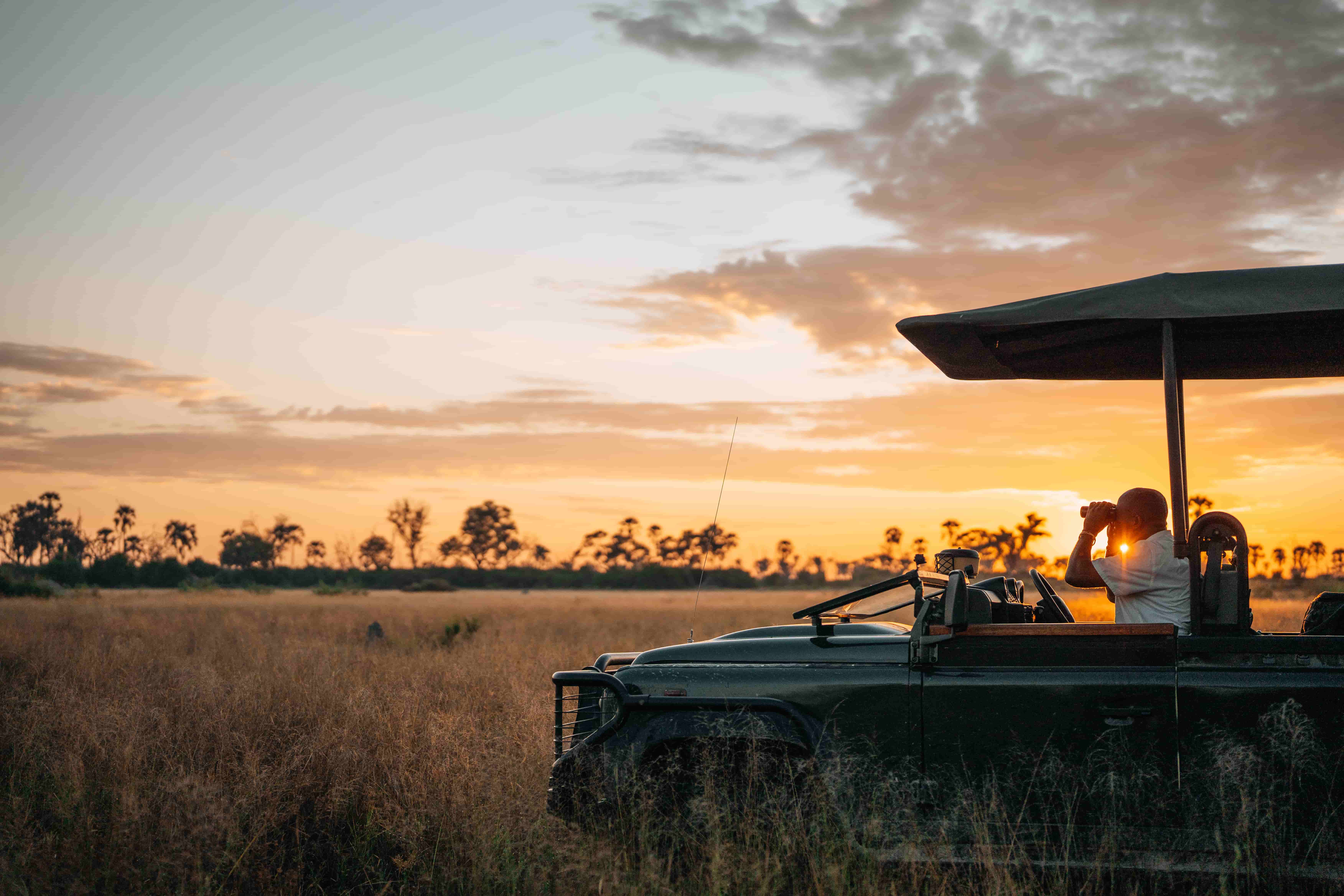 Sunset game drive at Chitabe Lediba Okavango
