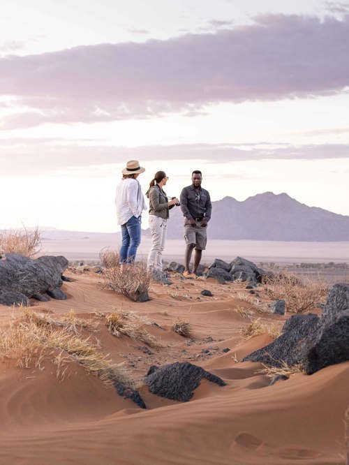 Wilderness Experiences Nature Walk 