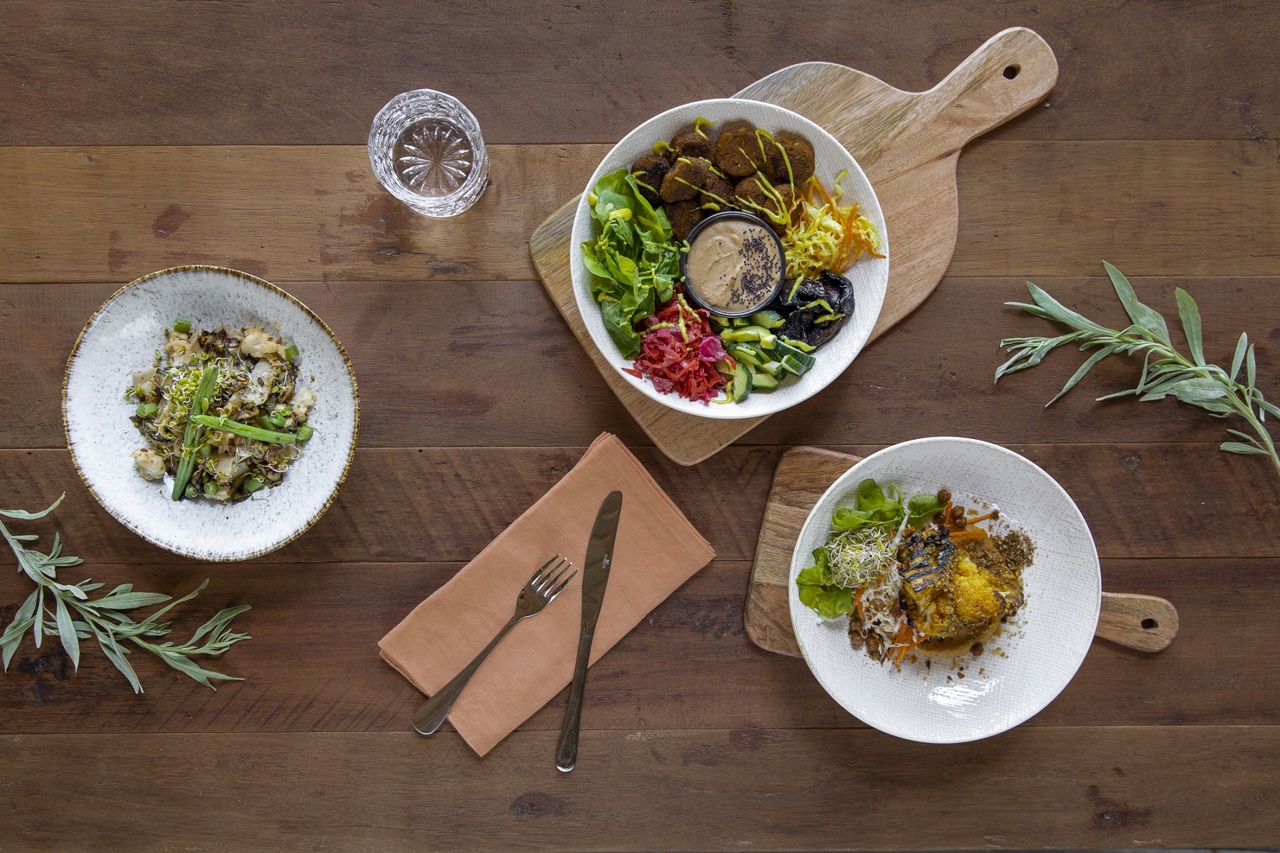 Wilderness Food Journey healthy menu