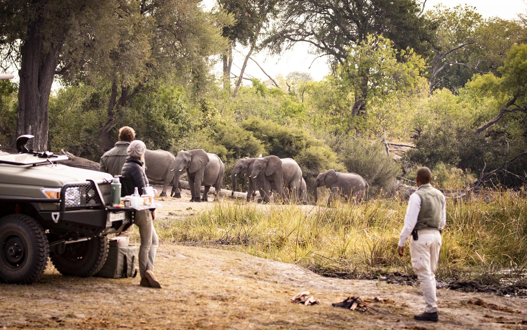 Wilderness Game Drives and Nature Walks