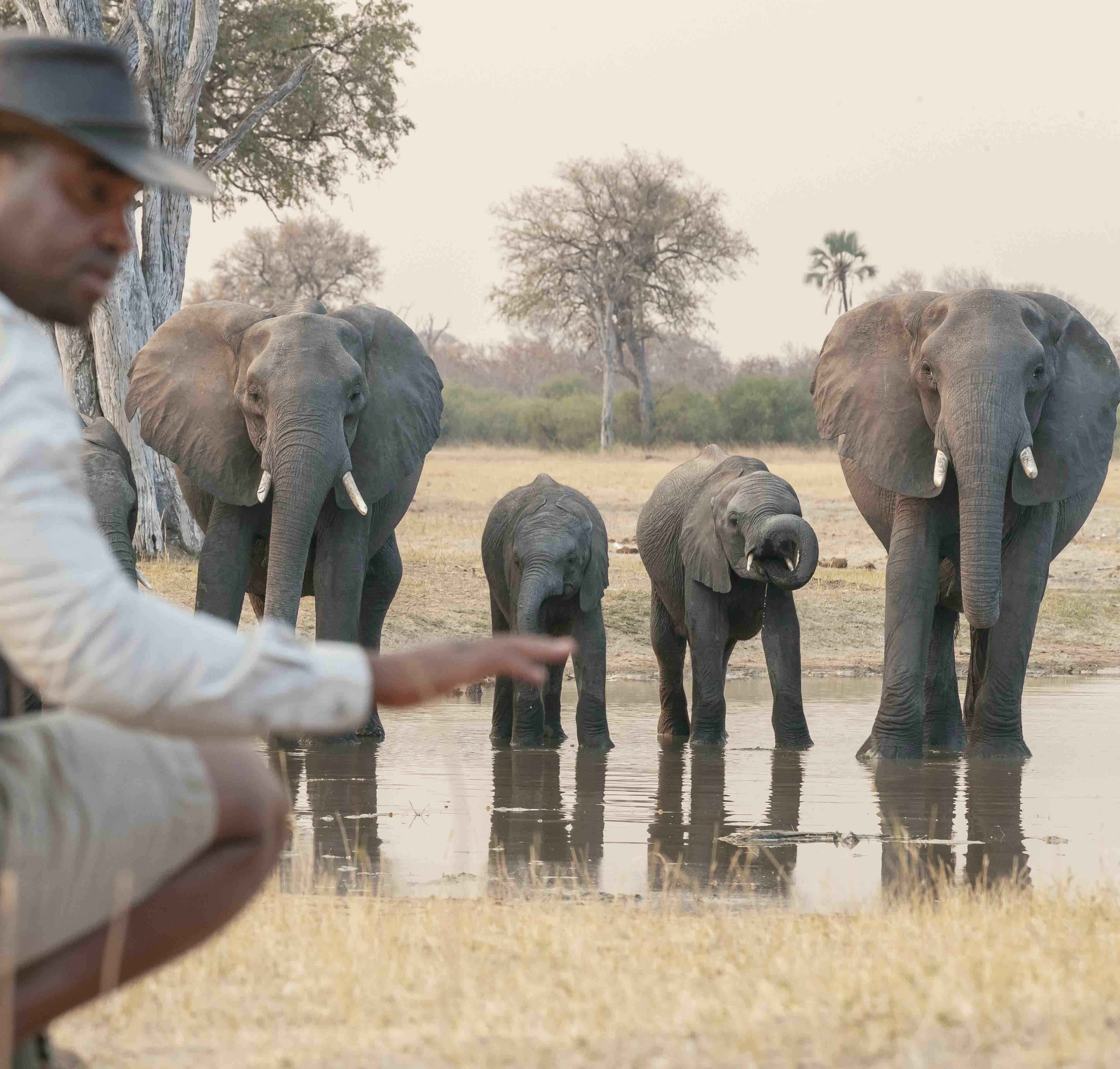 Wilderness Zambezi Exploration