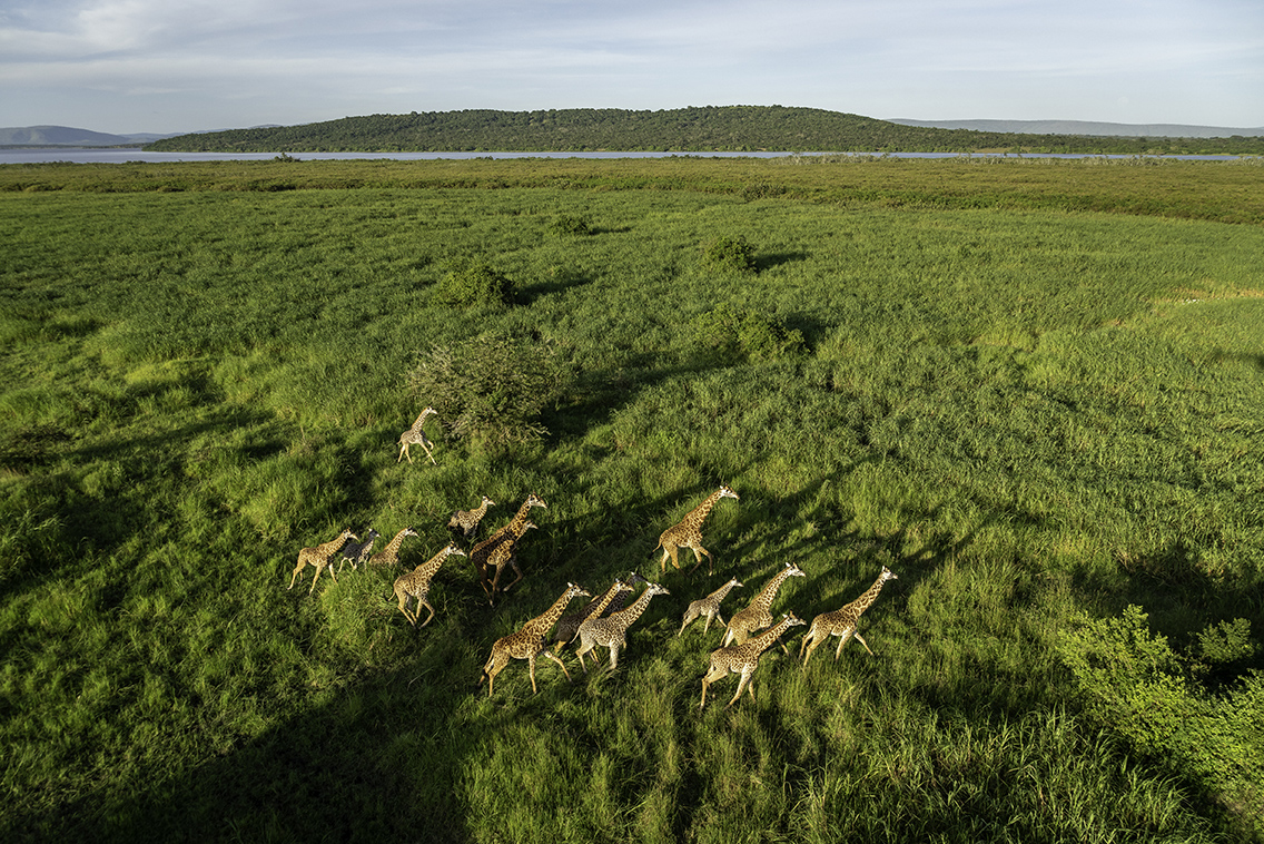 Wilderness Rwanda Landscape