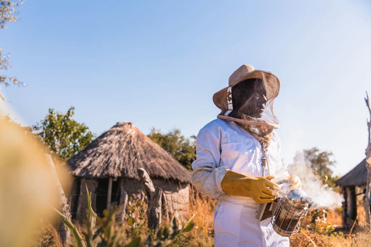 A local beekeeper in a white suit and bee veil holding a smoker in a traditional village setting in rural Botswana.