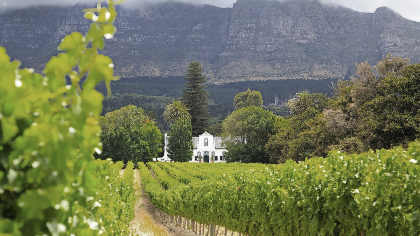 Wine Lands Cape Town Wilderness Touring