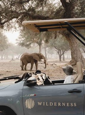 Game Drive with elepahant at Wilderness Zimbabwe