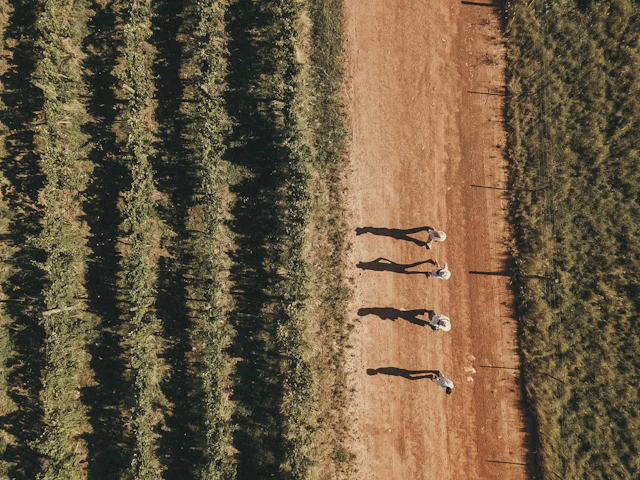 South Africa & Namibia: Vineyards & Skeleton Coast