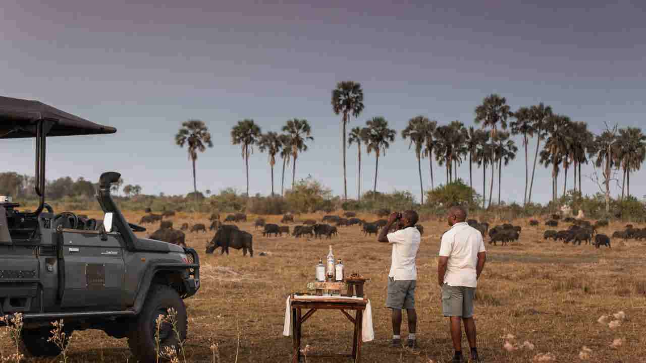 Guests watching wildlife and enjoying sundowners at Wilderness Qorokwe