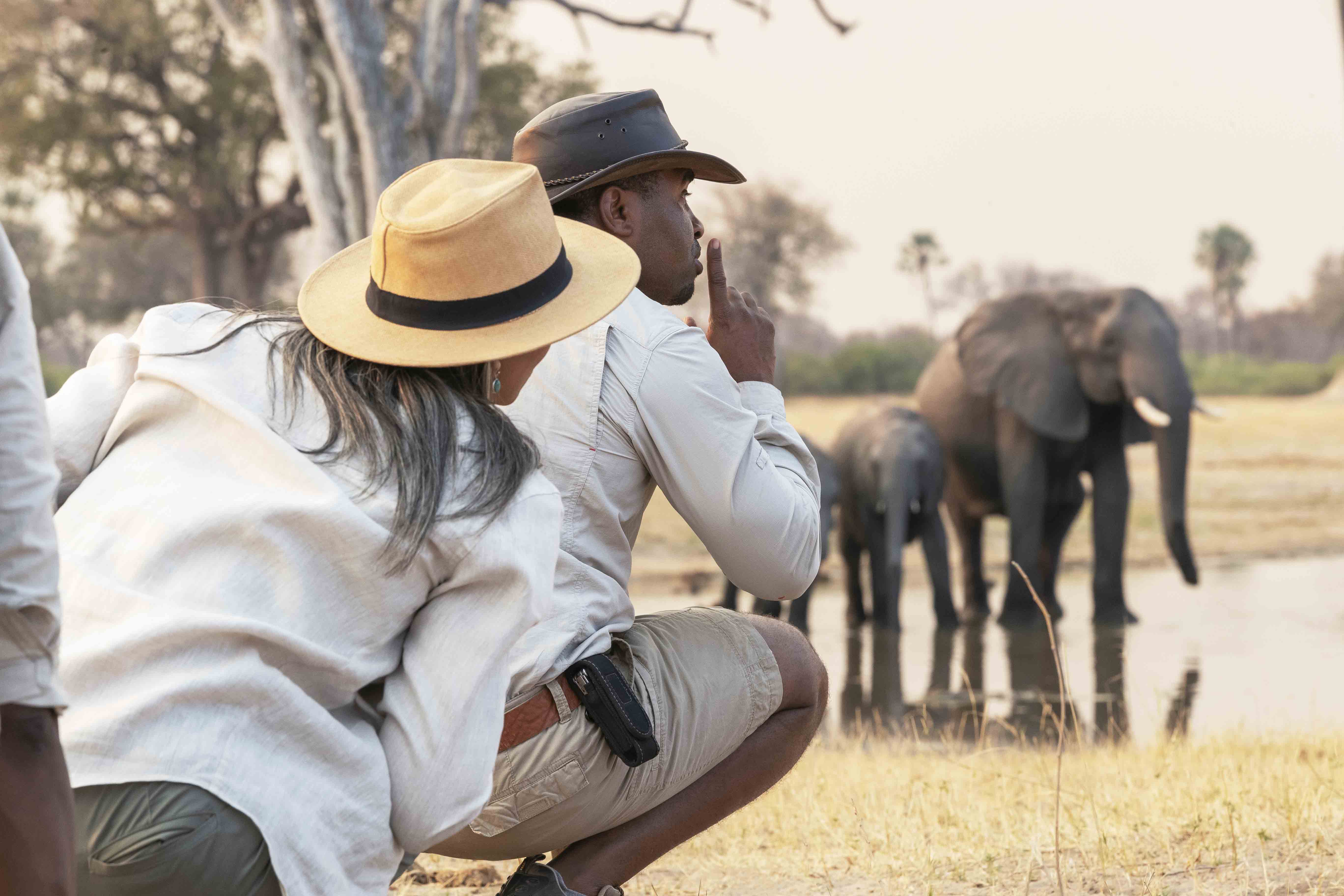 Wilderness Experiences Guided Walks