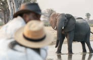 Wilderness Linkwasha Zimbabwe Safari Walk Couple