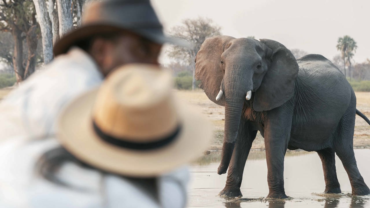 Wilderness Linkwasha Zimbabwe Safari Walk Couple