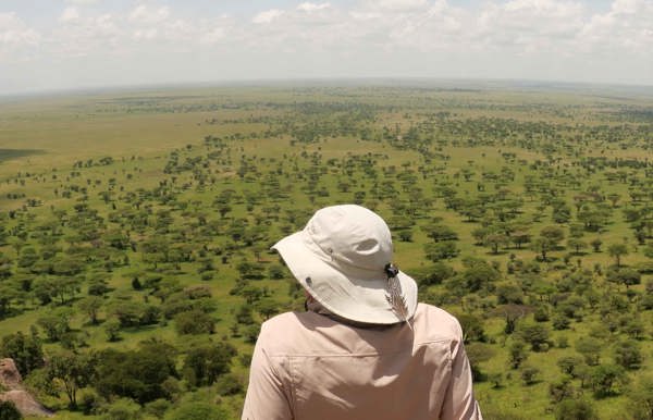 Wilderness Tanzania Habitat Mountain