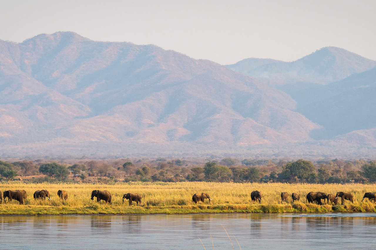 Wilderness Ruckomechi Zimbabwe Area