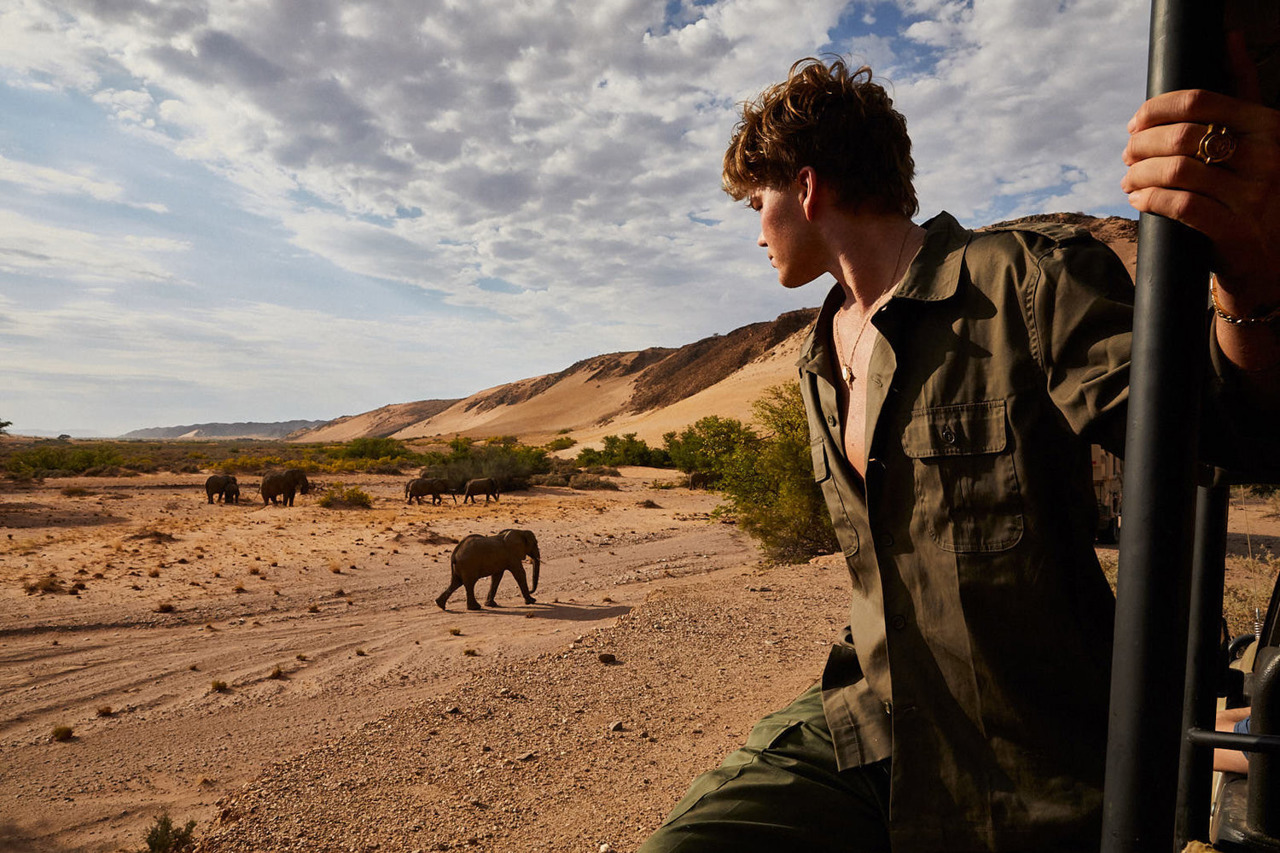 Desert-adapted elephants in Namibia on a Wilderness safari