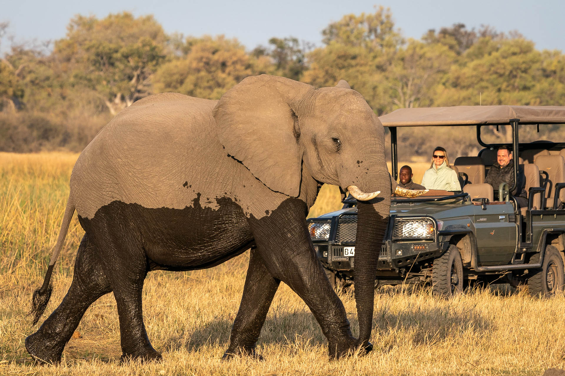 Wilderness Savuti Botswana Activities Game Drive