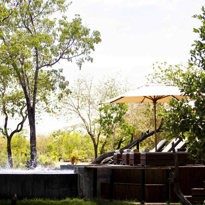 Wilderness Little Makalolo Zimbabwe Camp Pool