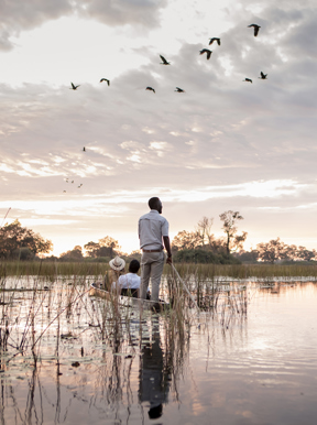 Mokoro Wilderness Botswana Delta