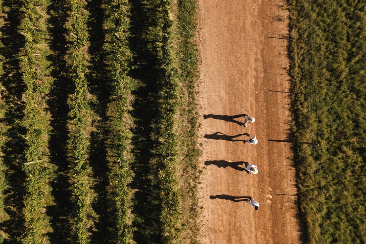 Cape Town Wine Lands Tour Wilderness 