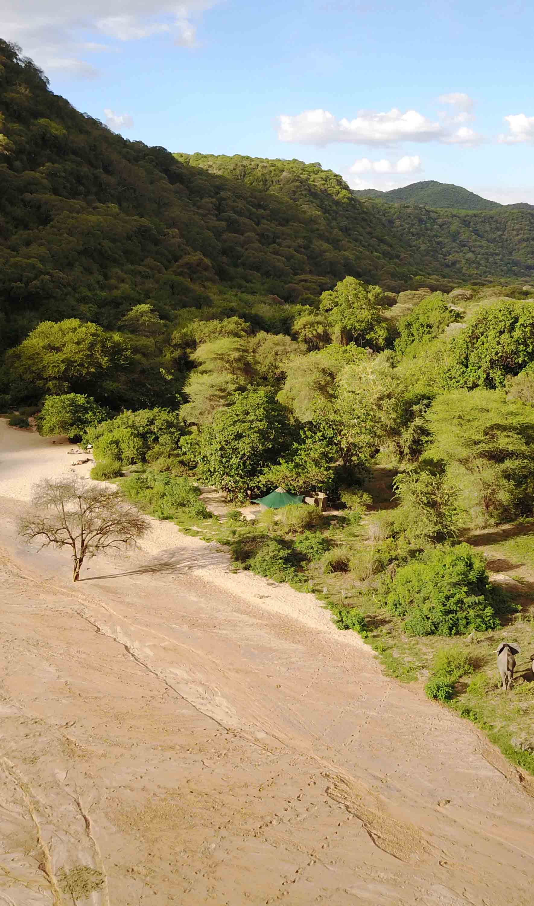 Wilderness Tanzania Habitat Forest+Rift