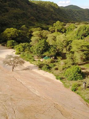 Wilderness Tanzania Habitat Forest+Rift