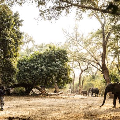 Wilderness Little Ruckomechi Zimbabwe Hero Image