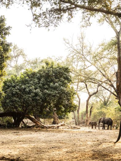 Wilderness Little Ruckomechi Zimbabwe Hero Image