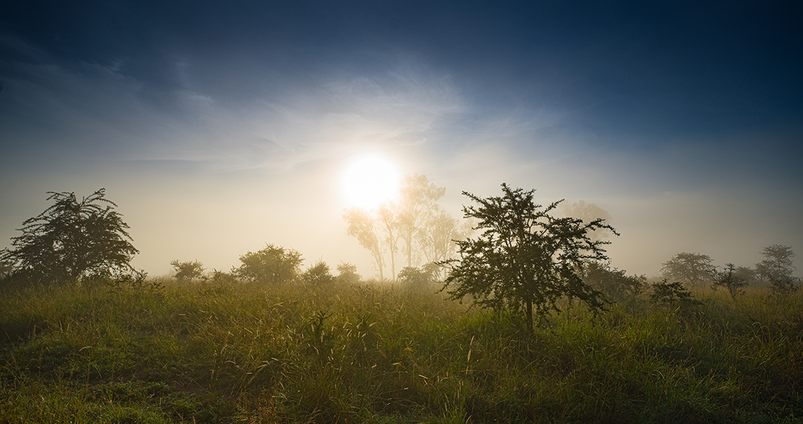 Wilderness Akagera Magashi Landscape Woodland