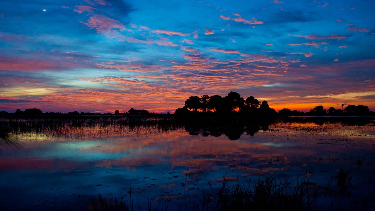 A richly colored Okavango Delta sunset reflecting on the smooth water, featuring deep blue, orange, and pink hues with a dark silhouette of an island tree line.
