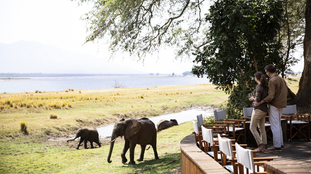 Wilderness Ruckomechi Zimbabwe Impact Purpose