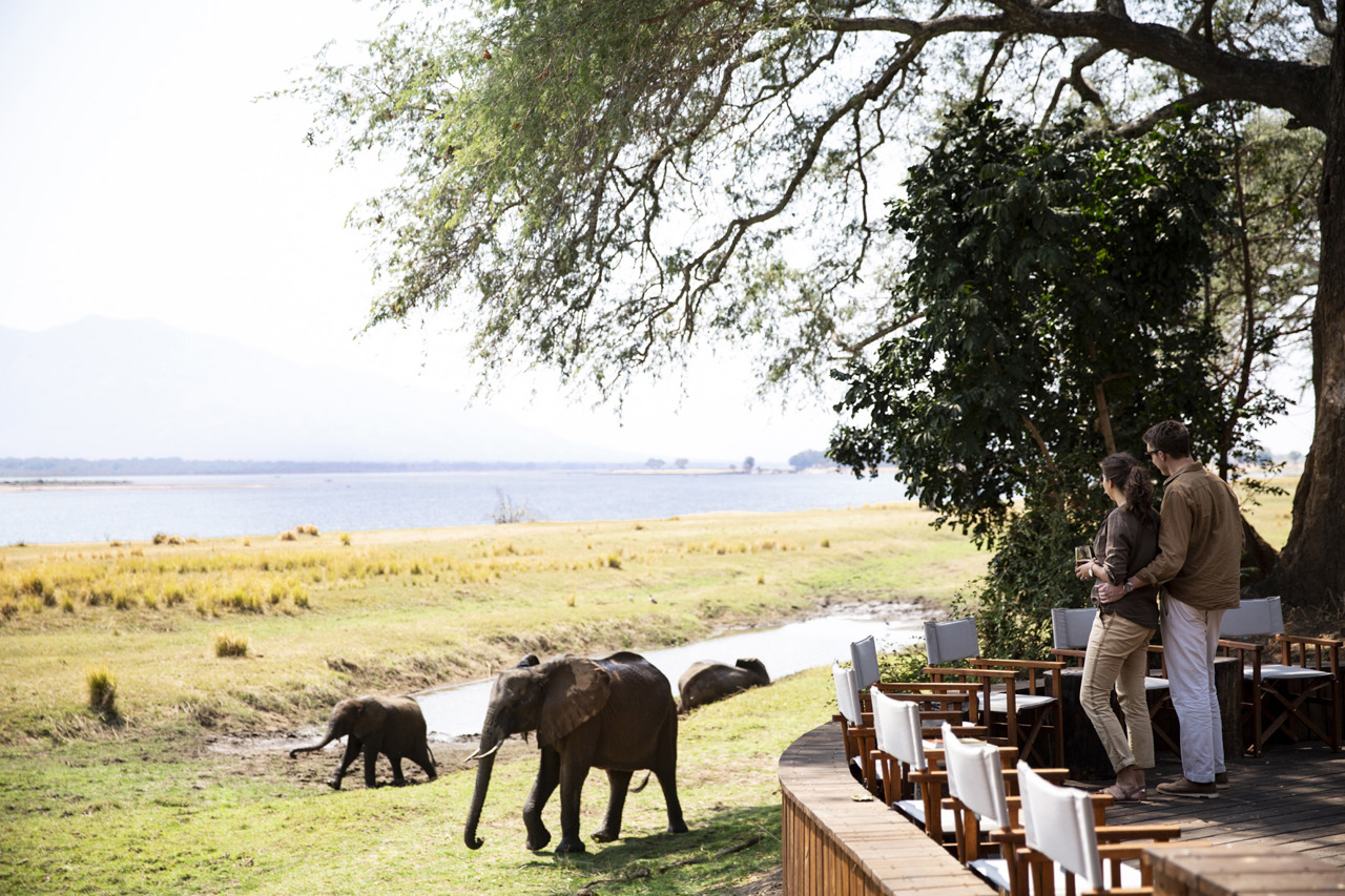 Wilderness Ruckomechi Zimbabwe Impact Purpose