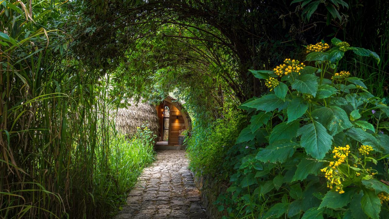 Forest path leading to a guest villa at Wilderness Bisate, Rwanda
