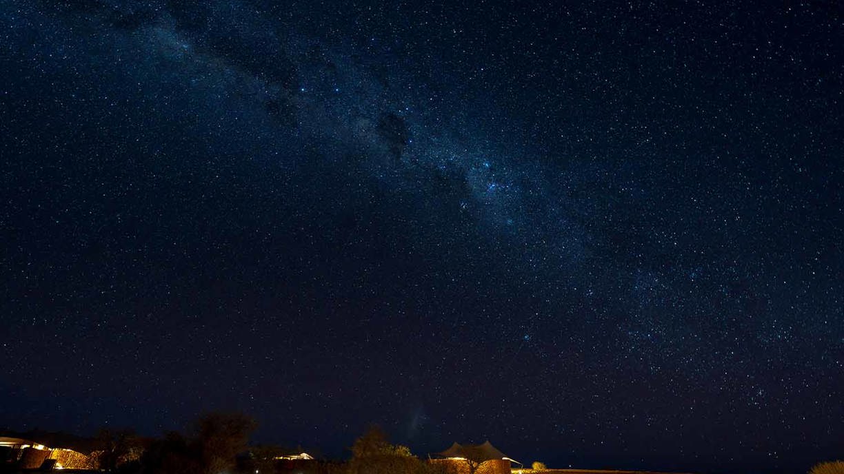 Wellness and stargazing at Desert Rhino Camp