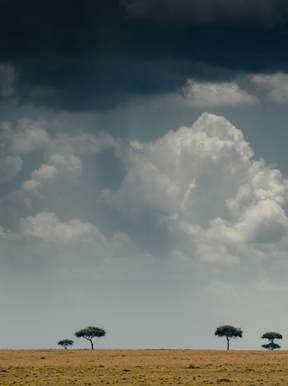 Clouds gathering for a thunderstorm in Tanzania
