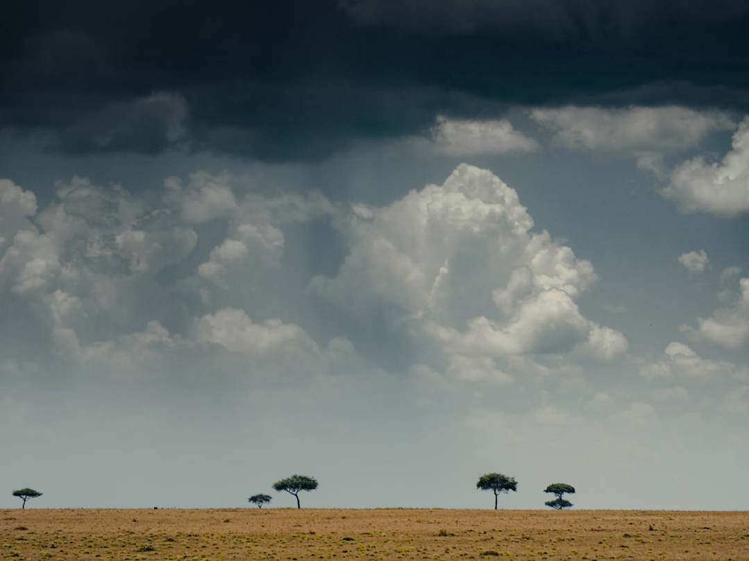 Clouds gathering for a thunderstorm in Tanzania