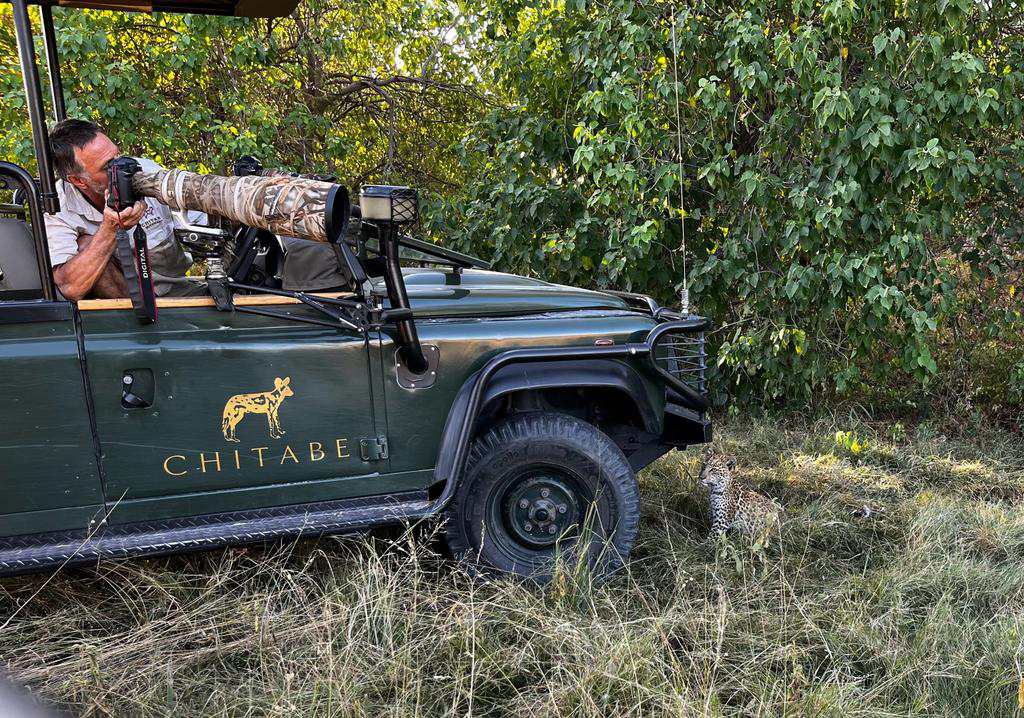 Dave Hamman on safari taking photographs in Wilderness Chitabe