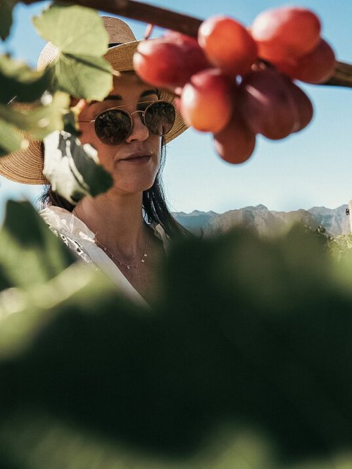 Cape Wine Lands Wilderness Touring