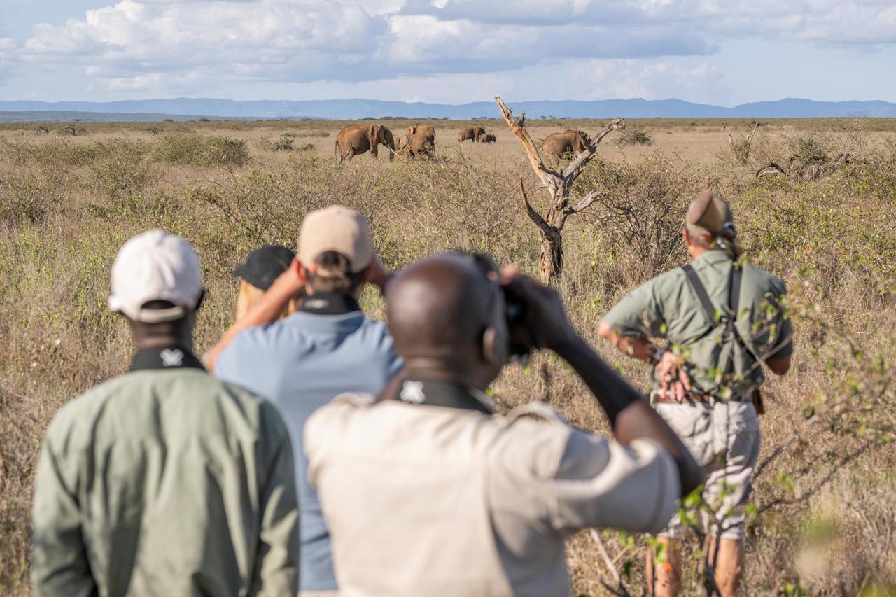 Guests and guides on a walking safari