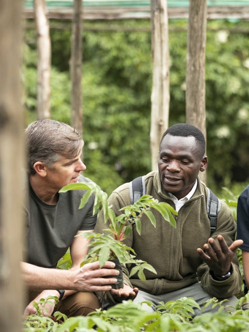 Wilderness Experiences Conservation Reforestation