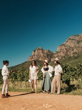 Cape Town Wine Lands Tour Wilderness Touring