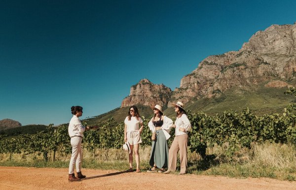 Cape Town Wine Lands Tour Wilderness Touring
